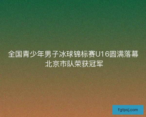 全国青少年男子冰球锦标赛U16圆满落幕 北京市队荣获冠军